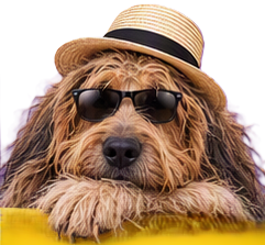 Otterhound