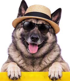 Norwegian Elkhound