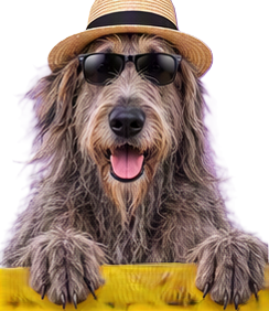 Irish Wolfhound